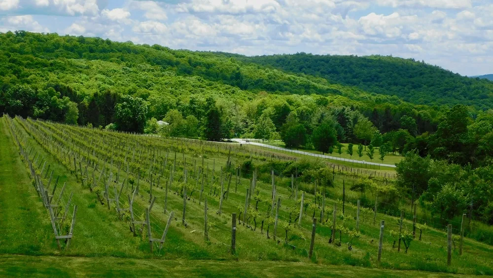 On your romantic weekend getaway in  the hudson you can have a picnic lunch with a vineyard view.