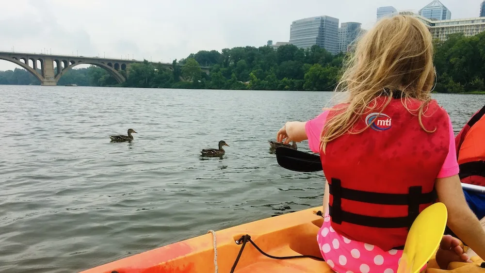 a girl kayaking on the potomac points to ducks in the water.