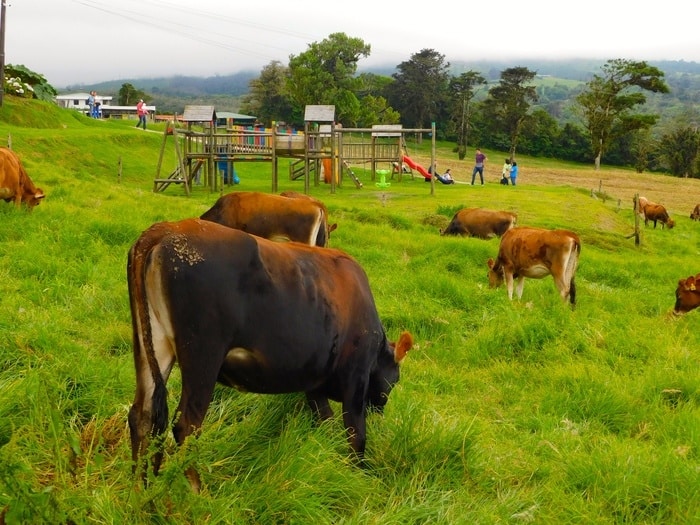 Costa Rica Vacation: 21 Foods You Have To Try With Kids