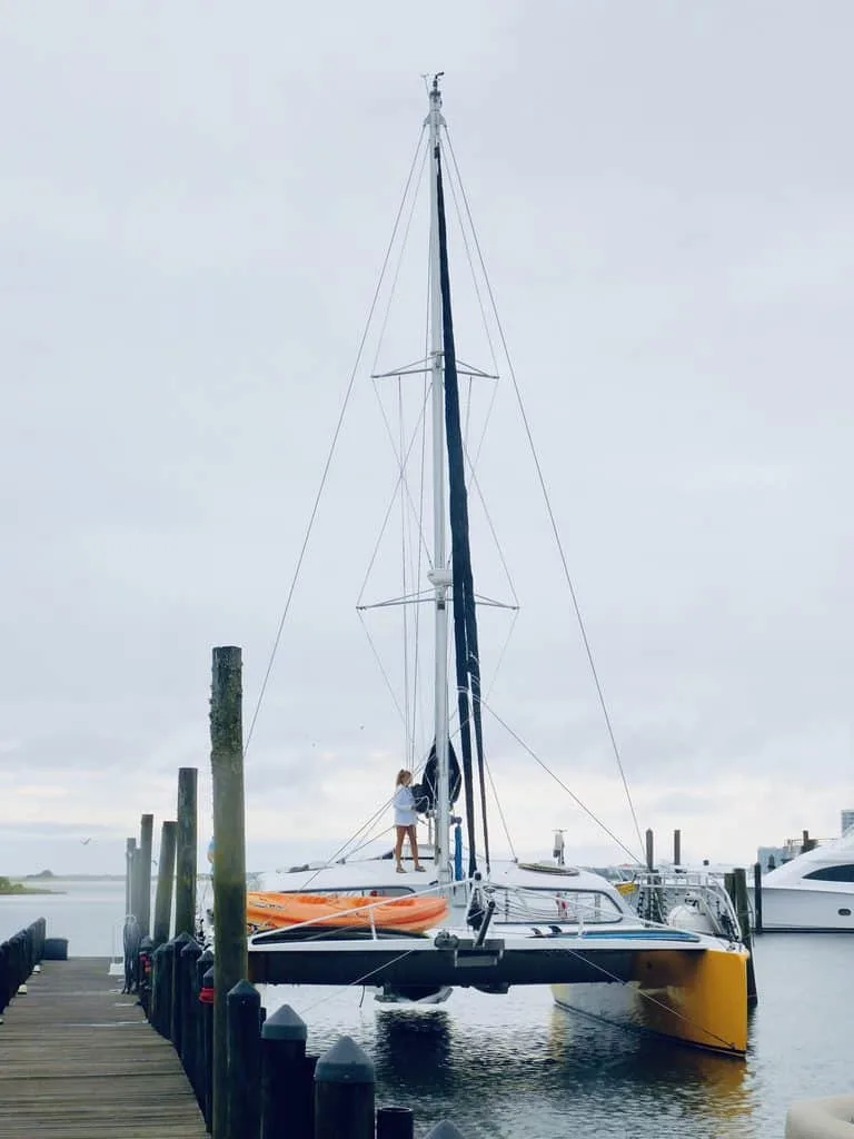 The catamaran at sail wild hearts